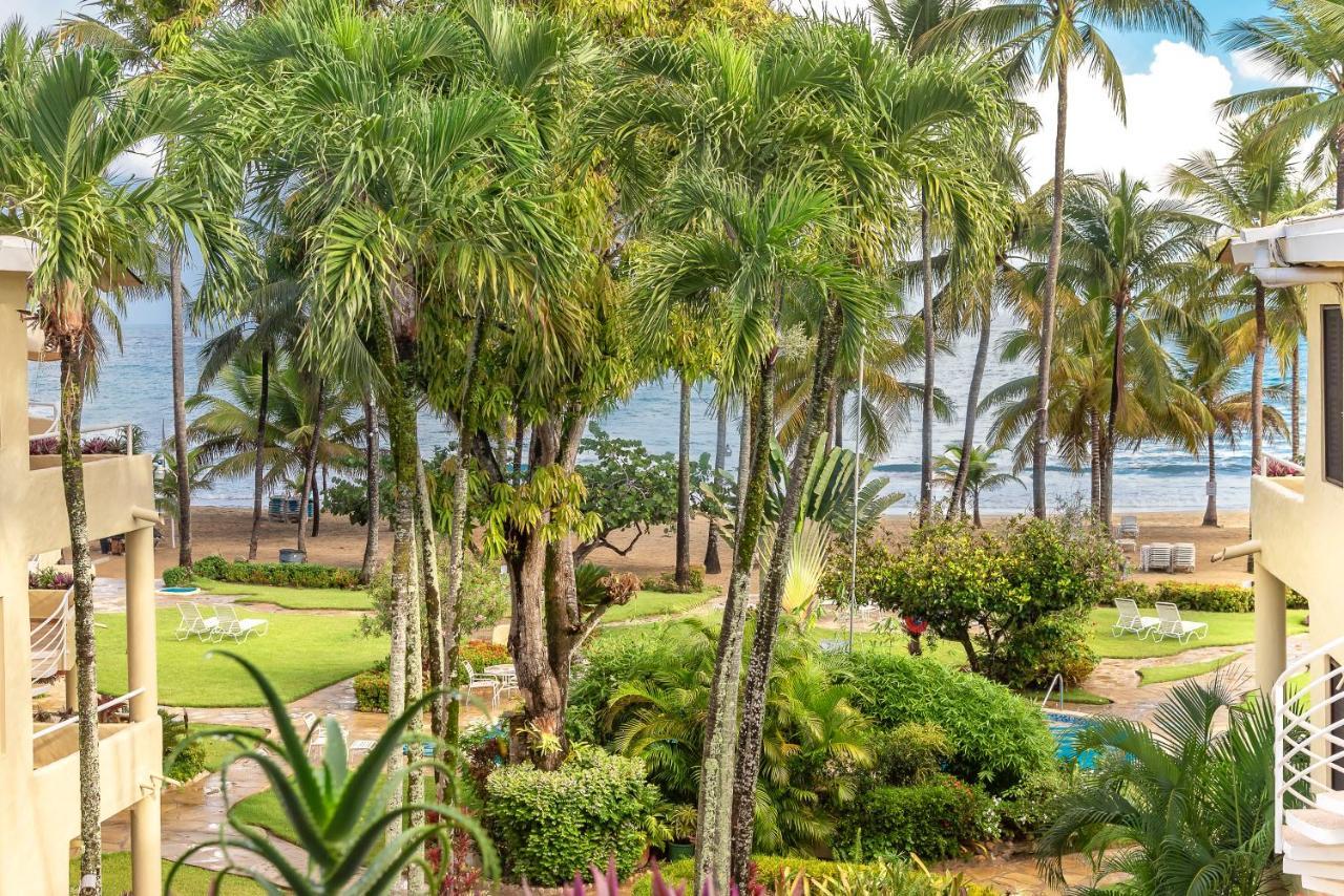 Cabarete Palm Beach Condos Экстерьер фото